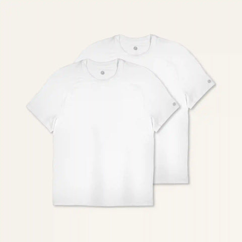 Men's Stride Flex Performance Tee 2 Pack