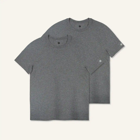 Men's Stride Flex Performance Tee 2 Pack